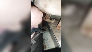 Có một sự phê pha không hề nhỏ