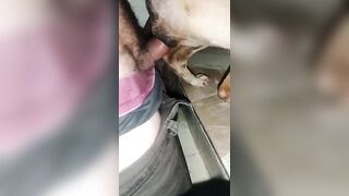 Có một sự phê pha không hề nhỏ