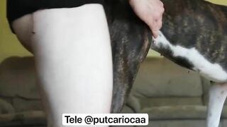 Móc em xong rồi chị