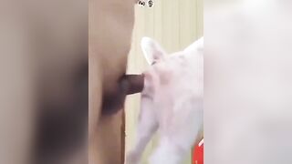 Da trắng nõn nà. Chịt em ngập lozzz