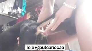 Đâm em cả hai lỗ phê pha