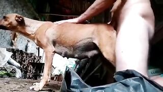 Bầu bi sắp đẻ mà nó cũng không tha