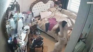 HACK CAM CON ĐĨ SGBB BỊ ĐẠI GIA ĐỊT RÊN RỈ CỰC NỨNG