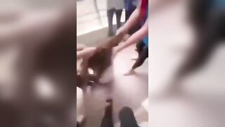 Bạo lực học đường lột đồ