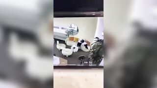 lộ vd học sinh bú cu tại quán nước