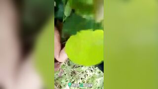 Mấy thằng Ấn Độ khốn nạn dụ dỗ ép buộc em gái quan hệ tình dục