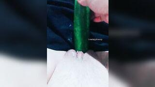 Bón dưa chuột cho con hàu múp ăn