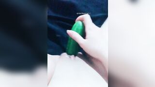 Bón dưa chuột cho con hàu múp ăn