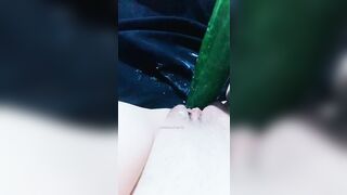Bón dưa chuột cho con hàu múp ăn