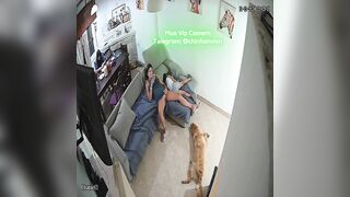 Hack Camera Máy Bay Móc Lồn Giữa Phòng Khách