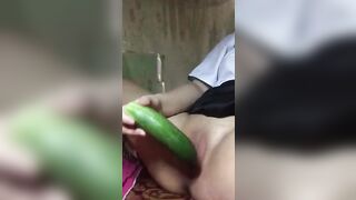 Khánh Linh Yên Bái 2 lẻ 9 thủ dâm với dưa chuột