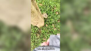 Thanh niên sáng ra đi bắn lén