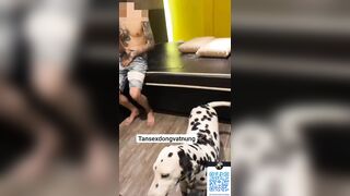 Thú cưng 23