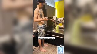 Thú cưng 23