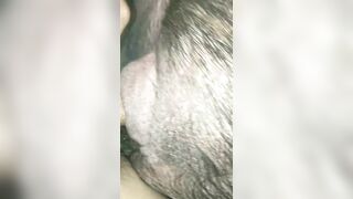 Em nái động dục