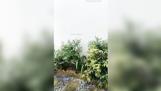 bú cu công cộng ch!ch với người lạ tại bờ biển vừa mát mẻ sung sướng vl sanzai2