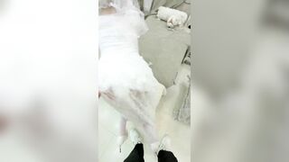 cô dâu mặc nguyên bộ đồ cưới bu cu địt luôn khi khách vẫn ở bên ngoài