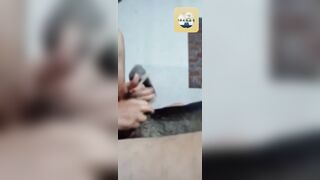 Tội con chó 🐶