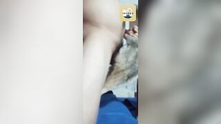 Tội con chó 🐶