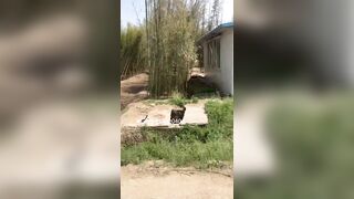 Vừa đi chơi vừa khoe hàng ngoài công viên trước mặt người lạ