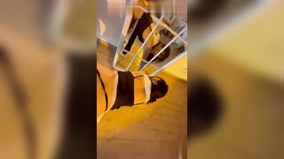 Cao Thanh Tú sinh viên năm nhất HNU lộ clip đi tour cùng bố nuôi