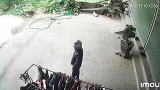 Chắc mang về ngâm rượu