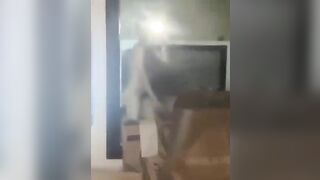 Vcl em 2k4 vú mọng ưỡn người cho anh đâm lút lồn rên sướng