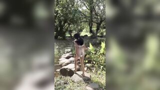 Em thỏ dâm mặc xuyên thấu lộ đít trắng nõn dạo rừng cho ae nứng vcl