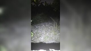 llsongokull 3