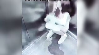 Gái dâm say rượu đái luôn trong thang máy