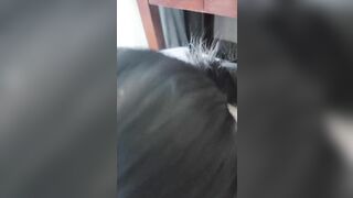 Em sinh viên hàng ngon bú mút con cặc dâm đãng kích thích