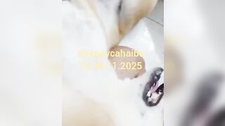 Trai cho chó đụ dính lẹo