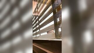 RÌNH MÃI MỚI QUAY ĐƠƠC CHIM HÀNG XÓM