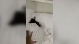 Con bạn đi ngủ, Ko mặc quần Bị Móc lồn, Bóp Vú lút cán Soem djt nhau sướng vl