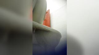 Vietnamese eatery toilet 2