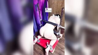 Qua cam làm bị chích điện