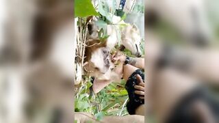 Đụ em chó cái