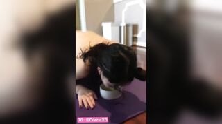 Con chó cái dễ thương