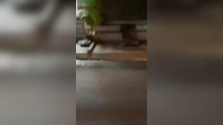GÁI NHA CỞI ĐỒ ĐẠP ĐỖ XE ĐI BỘ NGOÀI NHA TRANG