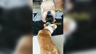 Huấn luyện chó cái thực thụ,bước đầu là tập ăn như 1 con chó p2