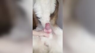 sục cặc chó