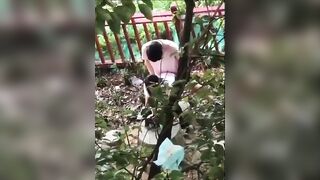 Học sinh 16 tuổi lên ra sau trường cho bạn trai doggy địt nhau như khỉ ngoài vườn
