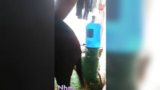 😛Một con chó1