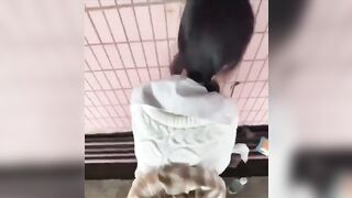 Đụ em gái còn nhỏ quá ở hành lang lồn khích