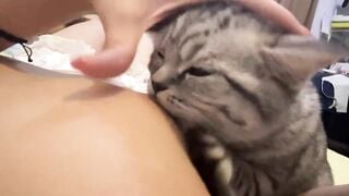 Cô chủ dâm dục cho mèo lồn bú vú, các bạn nữ nên học theo vì cực nứng 💦💦💦 (1)