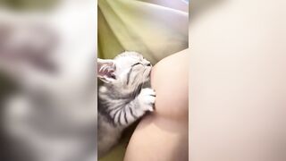Cô chủ dâm dục cho mèo lồn bú vú, các bạn nữ nên học theo vì cực nứng 💦💦💦 (3)