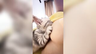 Cô chủ dâm dục cho mèo lồn bú vú, các bạn nữ nên học theo vì cực nứng 💦💦💦 (3)