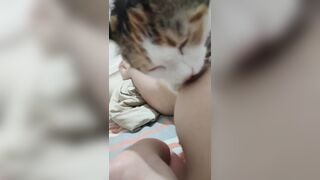 Gái xinh dâm dục cho mèo lồn bú vú, các bạn nữ nên học theo vì cực nứng 🥵🥵🥵 (2)