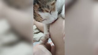 Gái xinh dâm dục cho mèo lồn bú vú, các bạn nữ nên học theo vì cực nứng 🥵🥵🥵 (2)