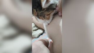 Gái xinh dâm dục cho mèo lồn bú vú, các bạn nữ nên học theo vì cực nứng 🥵🥵🥵 (2)
